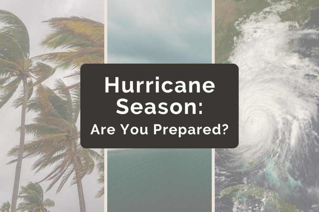Are You Storm-Ready? A Floridian’s Guide to Navigating Hurricane Season